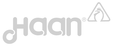 haan logo gray
